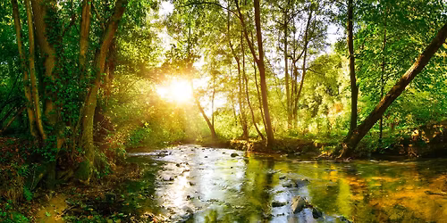 Aging, Care, and Our Relationship with Nature