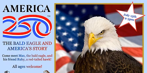 The Bald Eagle & America's Story