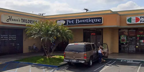 Lakewood - Dog dental cleaning