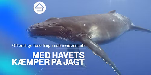 Med havets k\u00e6mper p\u00e5 jagt \/\/ Studenterhus Odense