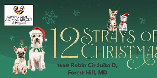 12 Strays of Christmas- Adoption Event! 