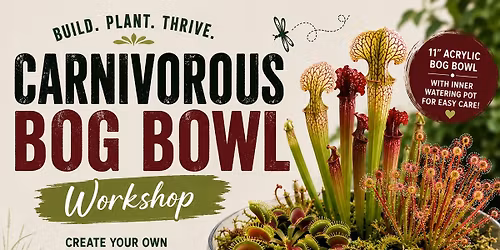 Carnivorous Bog Bowl Workshop