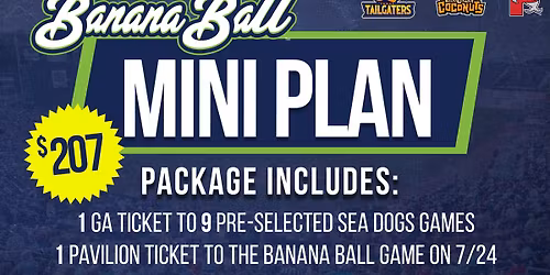 Portland Sea Dogs vs. Binghamton Rumble Ponies