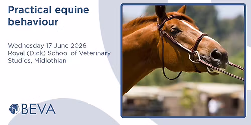 Practical equine behaviour