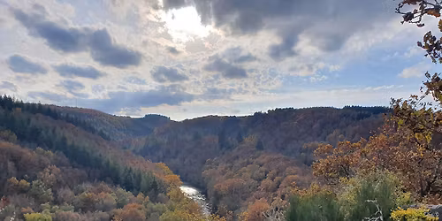  Mirroring training for nature guides in the Belgian Ardennes with Rupert Marques - LAST PLACE