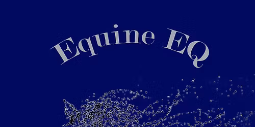 Equestrian Rider Fear \/ Anxiety Talk + Q&A