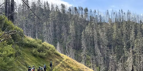 Ruckel Creek Trail Party - Gorge