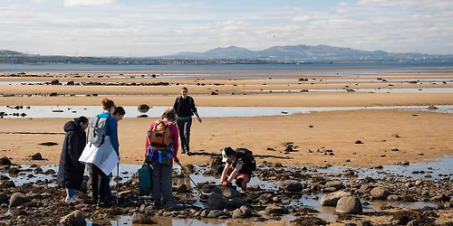Beach clean at Branksome Chine