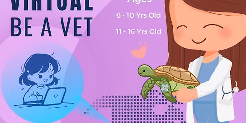 Virtual Be A Vet - Sea Turtle Inc.