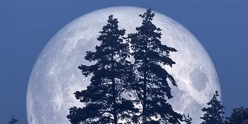 Full Moon Yoga, Meditation & Reiki Drumming