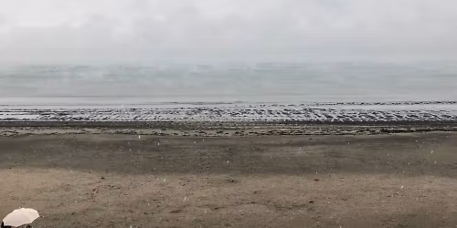 Casey Driessen in Harrisonburg