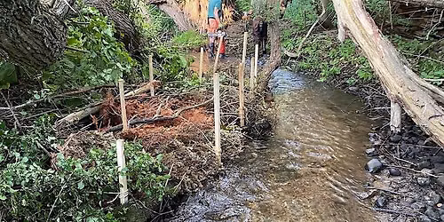 Stream Restoration 101: Why We Do What We Do