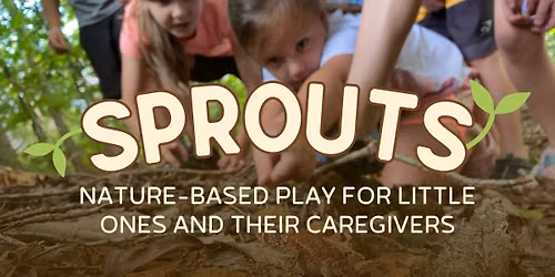 Sprouts: Busy Bugs