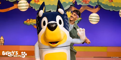 "Bluey's Big Play"