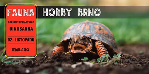 TERARIJN\u00cd a AKVARIJN\u00cd trhy Fauna Hobby Brno