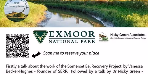 An Evening of Eels and Crayfish