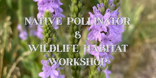 Native Pollinator & Wildlife Habitat Workshop