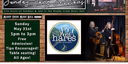 Sunday Song Sessions - The Wild Hares
