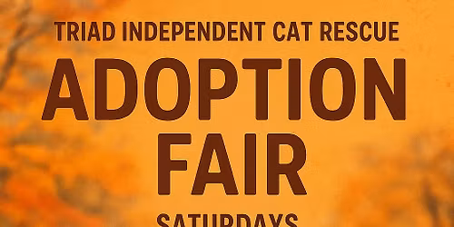Adoption Fair ( PetSmart on Lawndale Drive )