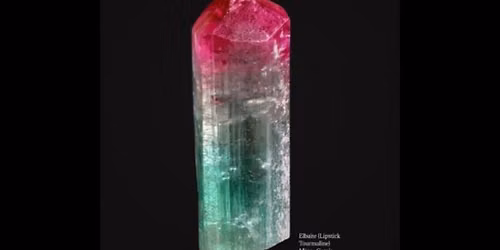 53rd Annual Gem Mineral & Fossil Show