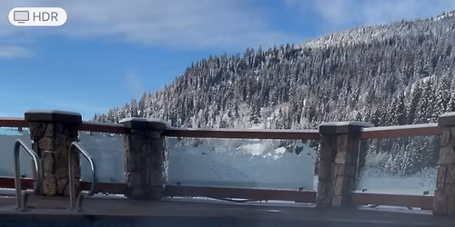 Intermediate Swimming 