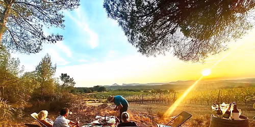 D\u00e9gustation de vins au soleil couchant.