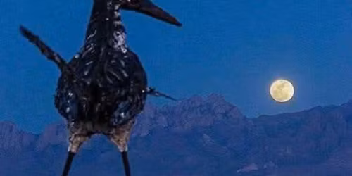 Jeff Mann\/JD Sipe @ the COWGIRL BBQ