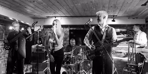 The Real News @ Vanni's