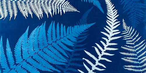 Cyanotype Workshop
