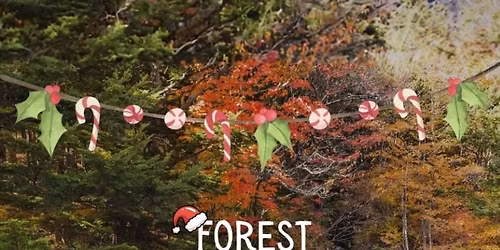 Boxing Day & New Years Day Wild Sauna &Swim