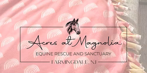 Blanket Making Workshop | farm-animal rescue fundraiser 