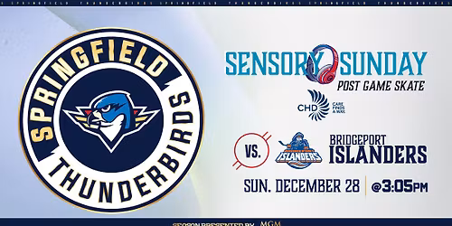 Springfield Thunderbirds v. Bridgeport Islanders