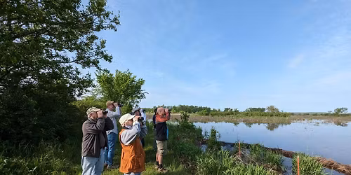 Farming With Birds Rather than Against Them