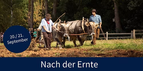 Nach der Ernte