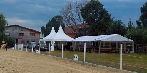  CDN-B* Unterpetersdorf \/ B. L\u00e4ndl. LM Haflinger Dressur \/ Vorrunde Bgld. Thermencup 