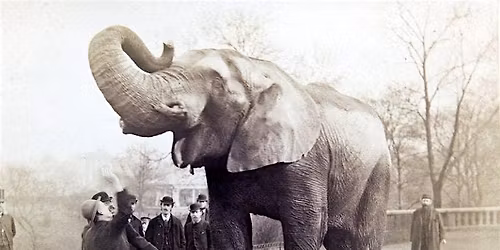 ZSL at 200: SHNH Summer Meeting with the Zoological Society of London