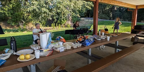 Summer Chamber Jam in the Park