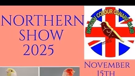 BCCC Northern Show 2025