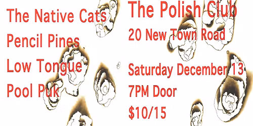 The Native Cats, Pencil Pines, Low Tongue and Pool Puk, The Polish Club, Saturday December 13, 2025