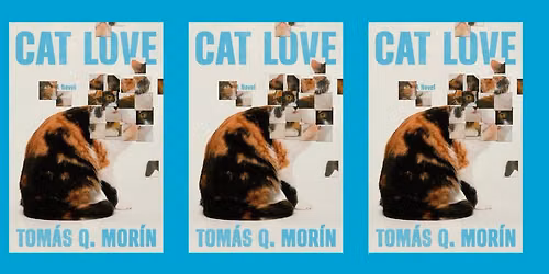 Simon Says: Cats!