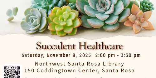 Healthcare for Succulents