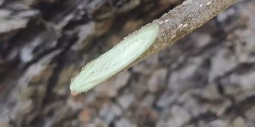 WORKSHOP: ROUBOV\u00c1N\u00cd