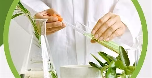 Tincture Craft: East Meets West in Herbal Extraction