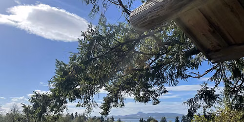Junior Ecologists (ages 6-9): Upland Trail Art and Exploring