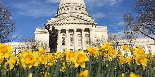 State Street Spring Mock Walk