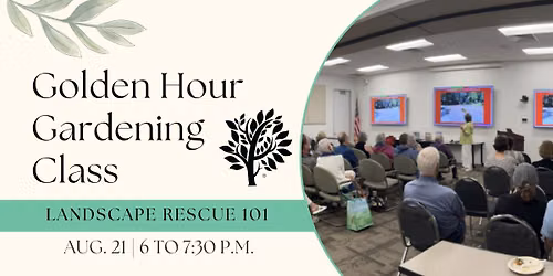 Golden Hour Gardening: Landscape Rescue 101