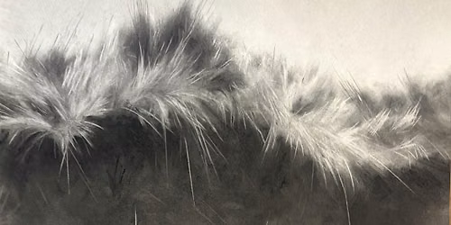 Exhibition Special: Exploring Coastal Light and Shadow in Charcoal