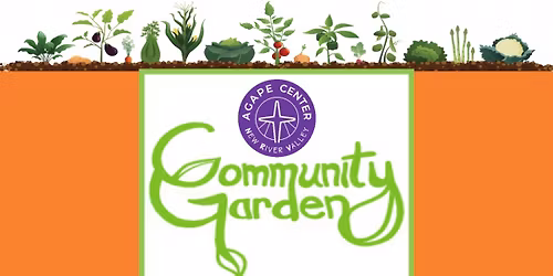 Starting Your Garden Workshop with the Community Garden Team