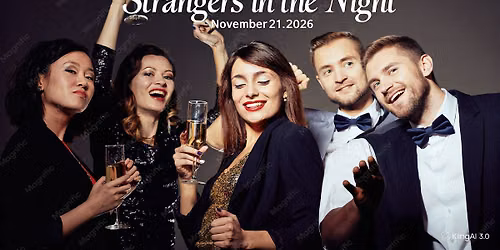 "Strangers in the Night"-live music ,night party ,meet up club ,bar
