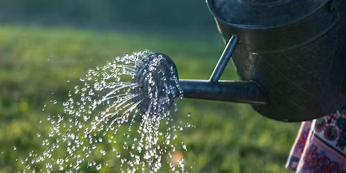 Water saving, reuse and collection in your home